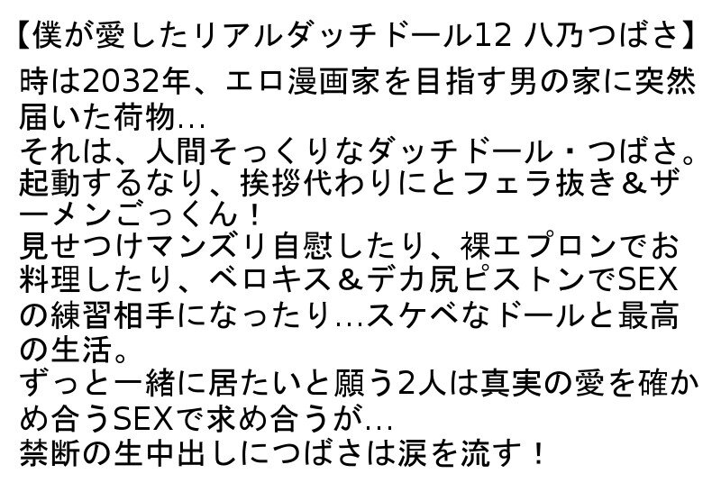 【お得セット】僕が愛したリアルダッチドール10・11・12